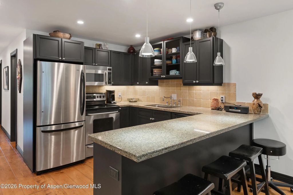 6 of 18 - 100 E Dean Street Unit 2b, Aspen, CO
