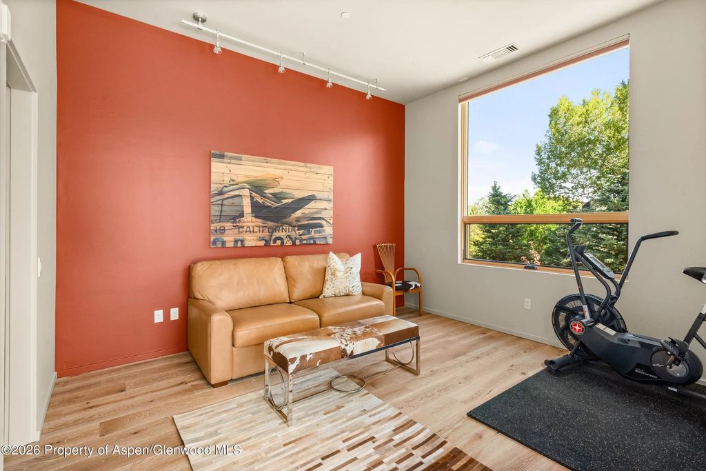 16 of 27 - 103 Willits Way 201, Basalt, CO