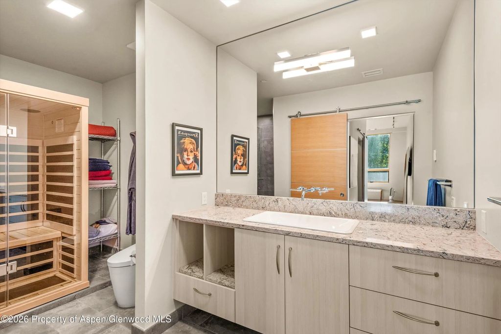 19 of 27 - 103 Willits Way 201, Basalt, CO