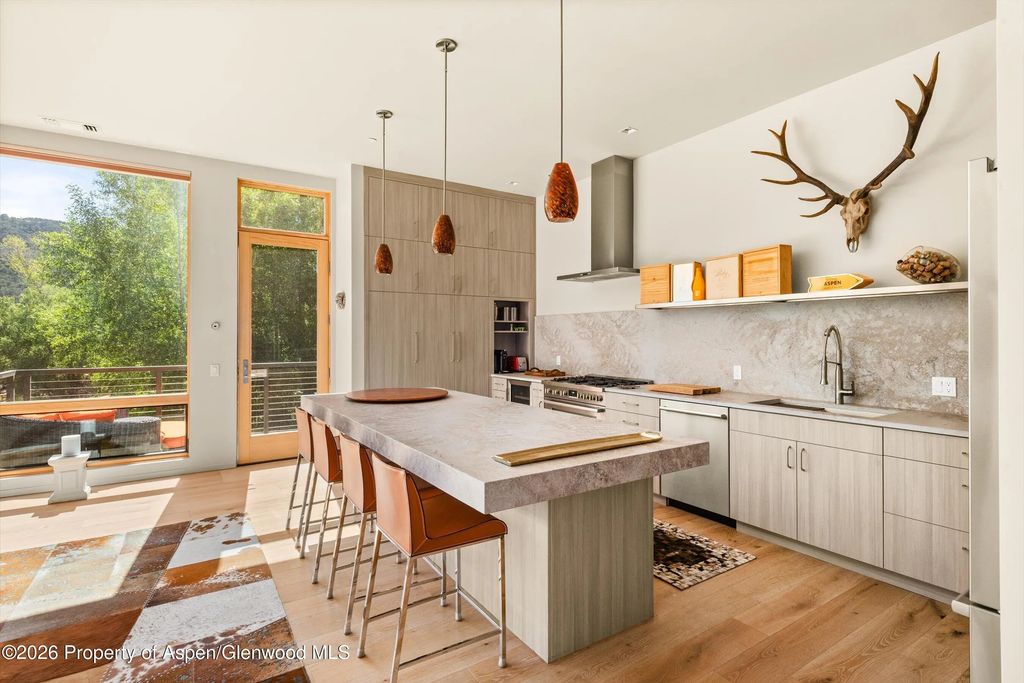 9 of 27 - 103 Willits Way 201, Basalt, CO