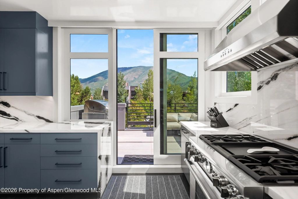12 of 50 - 627 E Hopkins Avenue 201, Aspen, CO