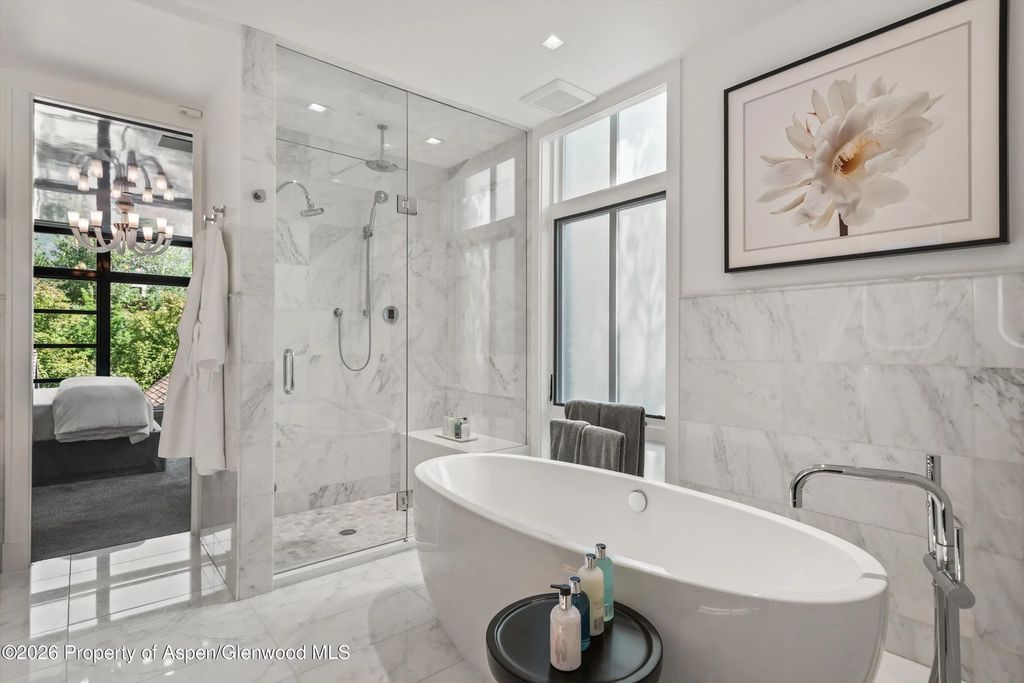 19 of 50 - 627 E Hopkins Avenue 201, Aspen, CO