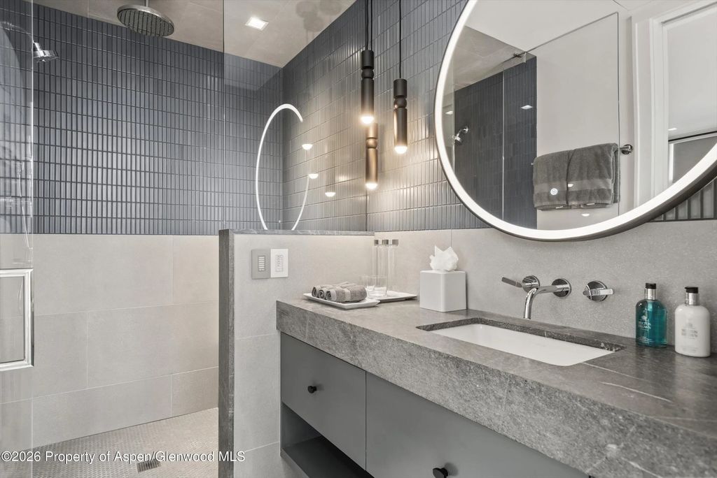 22 of 50 - 627 E Hopkins Avenue 201, Aspen, CO