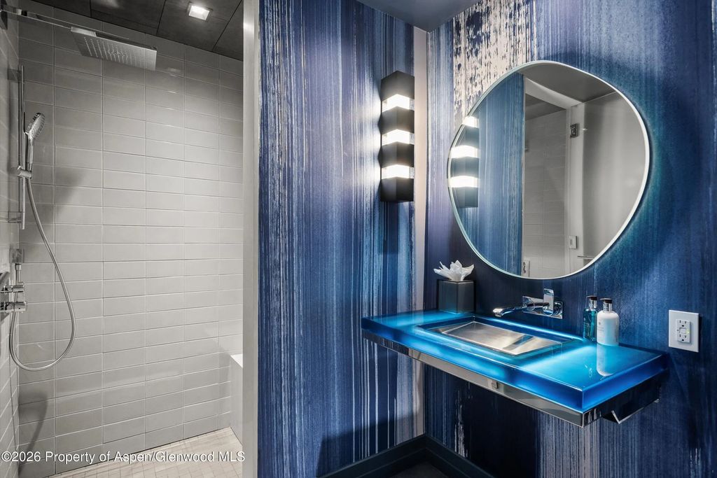 33 of 50 - 627 E Hopkins Avenue 201, Aspen, CO