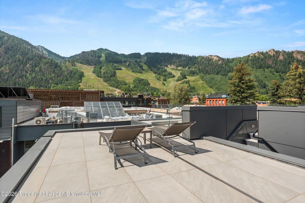 36 of 50 - 627 E Hopkins Avenue 201, Aspen, CO