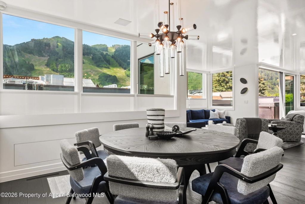 8 of 50 - 627 E Hopkins Avenue 201, Aspen, CO