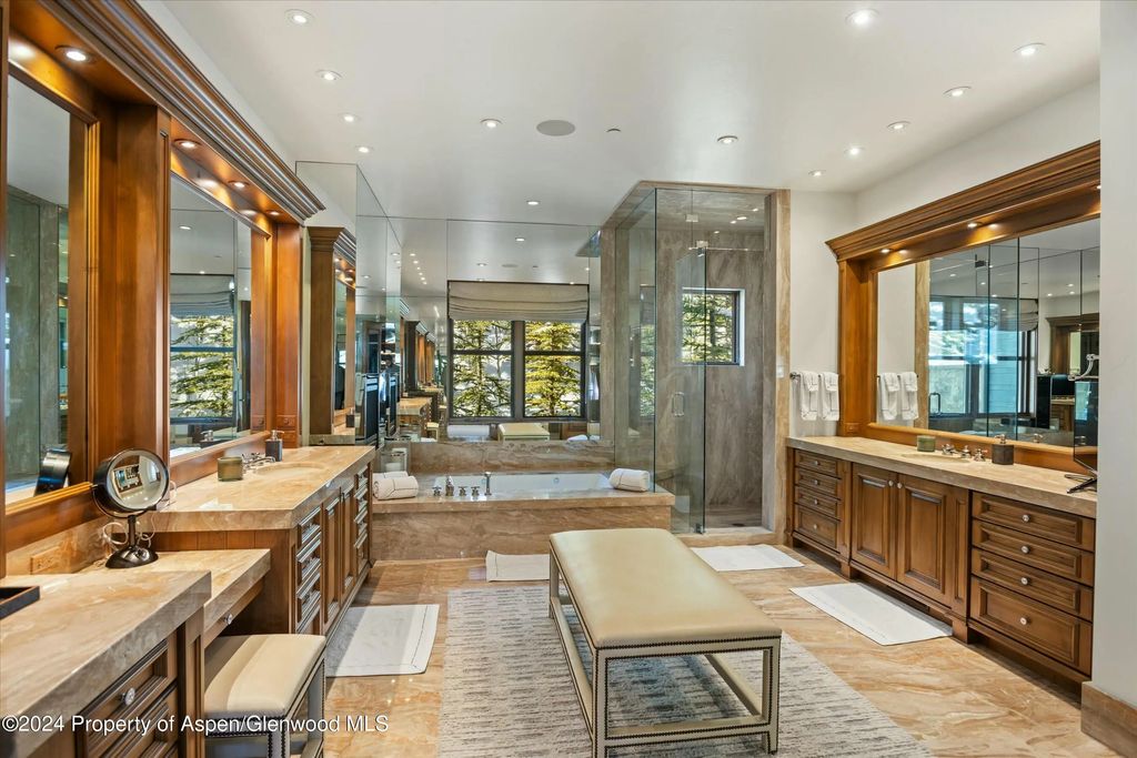 10 of 39 - 386 Pfister Drive, Aspen, CO