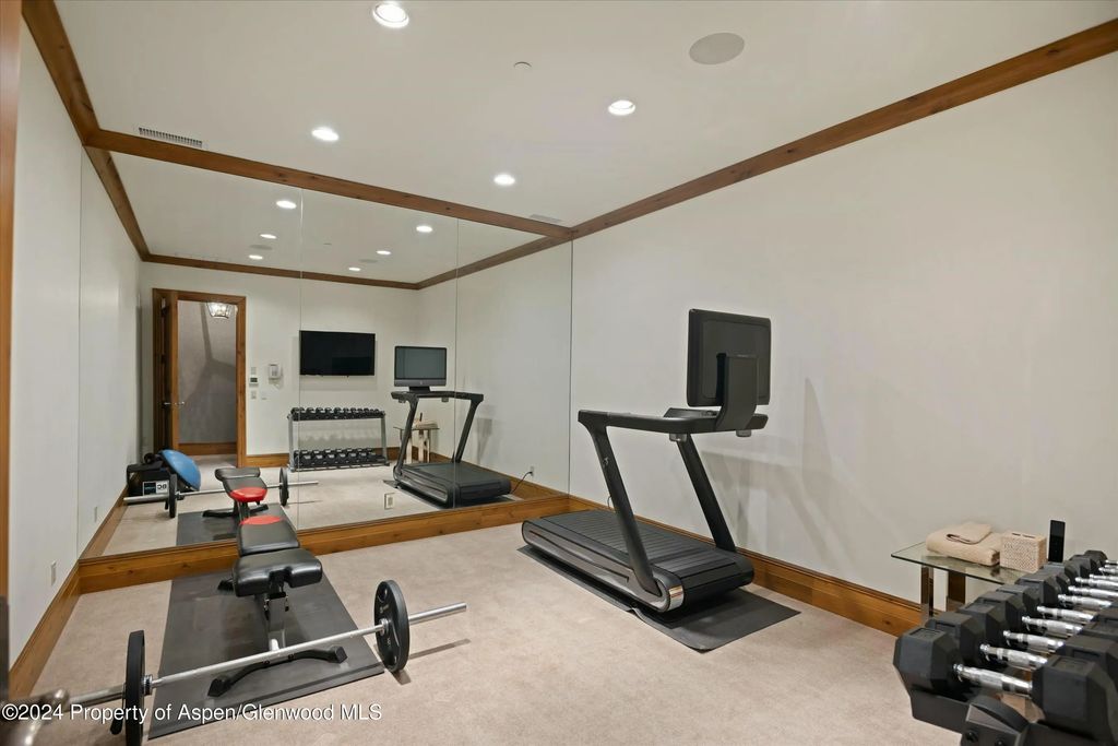 26 of 39 - 386 Pfister Drive, Aspen, CO