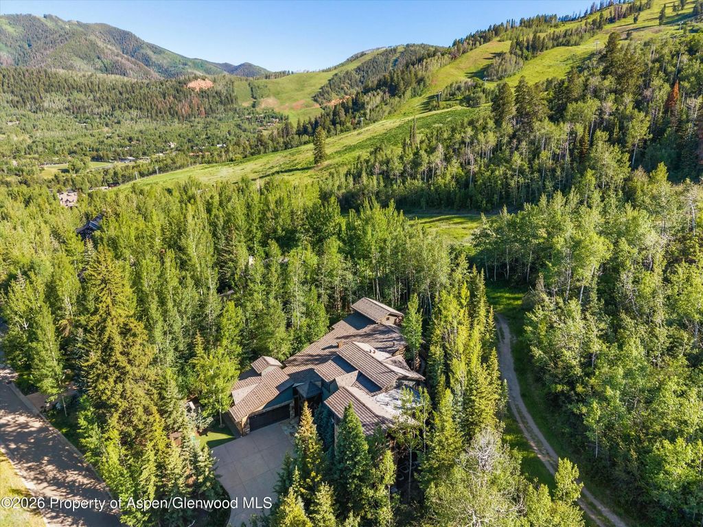 36 of 39 - 386 Pfister Drive, Aspen, CO