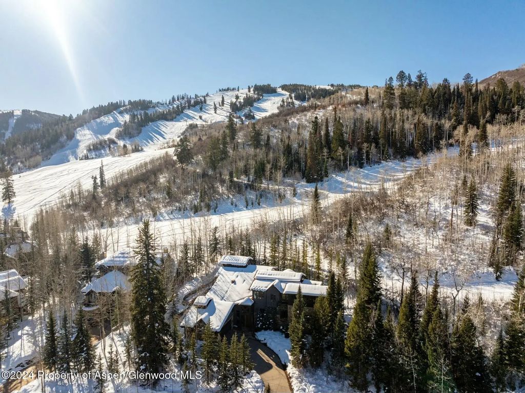 37 of 39 - 386 Pfister Drive, Aspen, CO