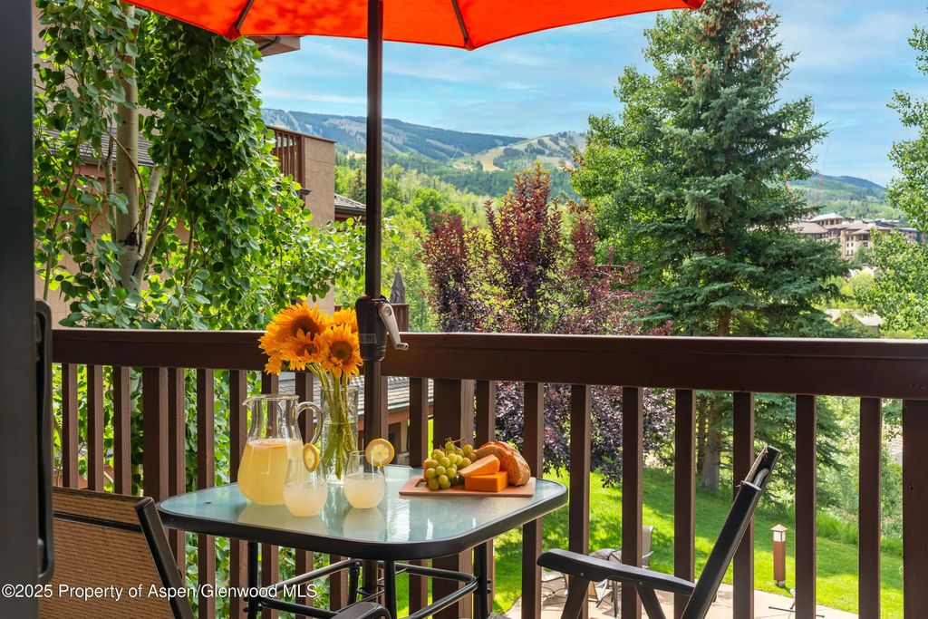 16 of 30 - 229 Faraway Road 28, Snowmass Village, CO