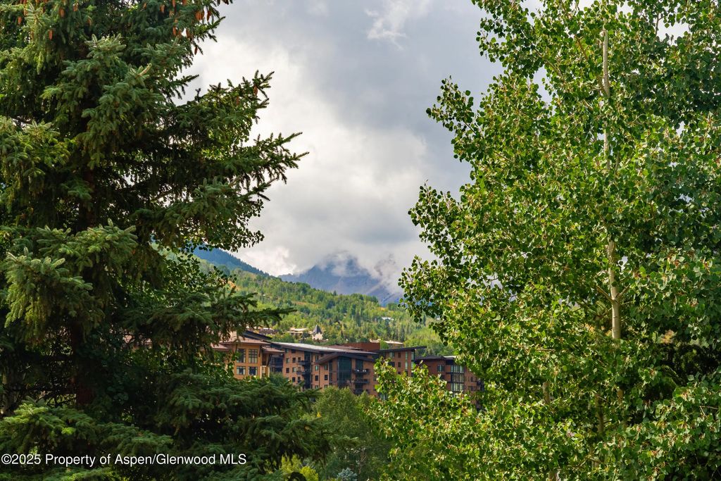 18 of 30 - 229 Faraway Road 28, Snowmass Village, CO
