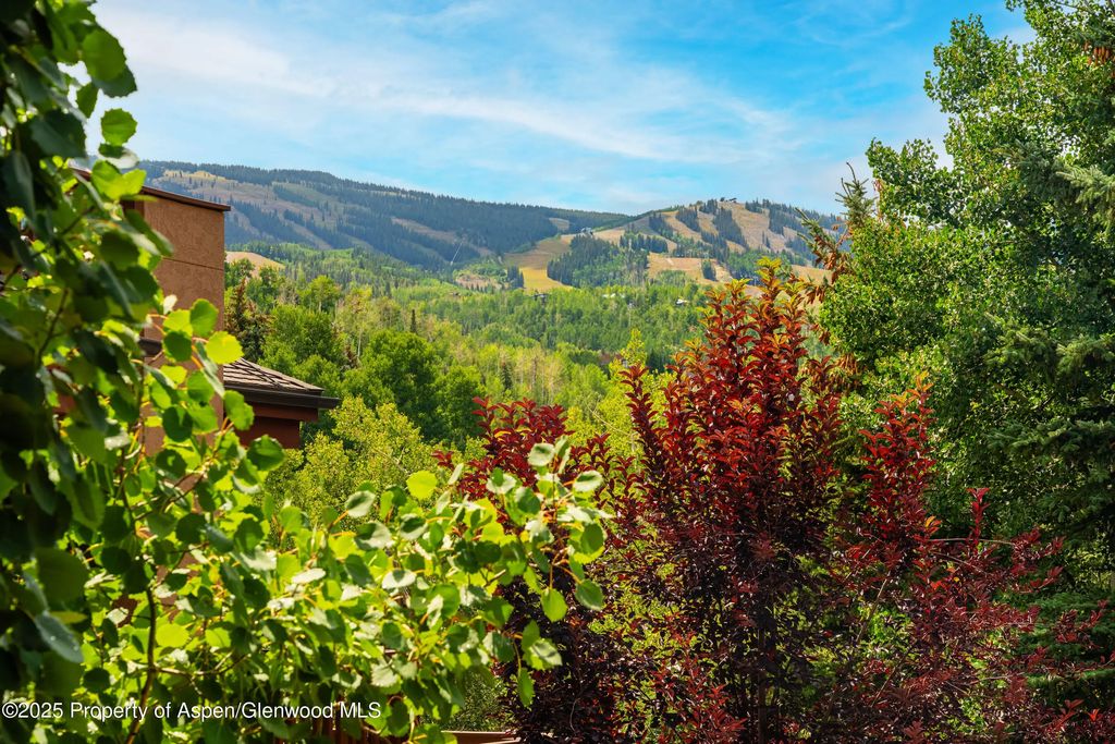 19 of 30 - 229 Faraway Road 28, Snowmass Village, CO