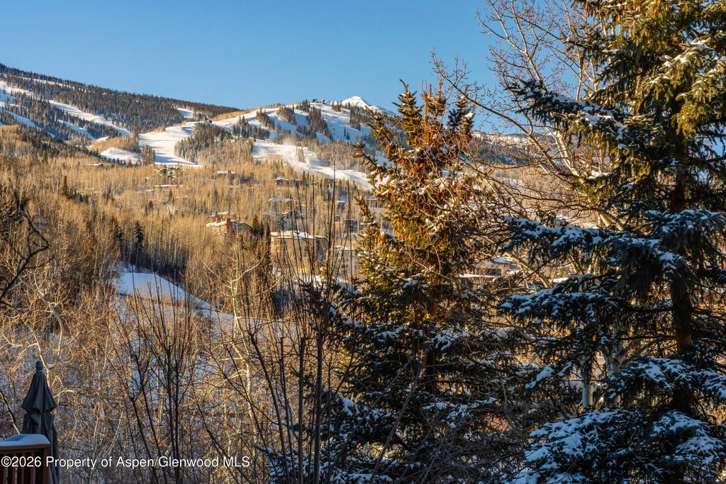 27 of 30 - 229 Faraway Road 28, Snowmass Village, CO