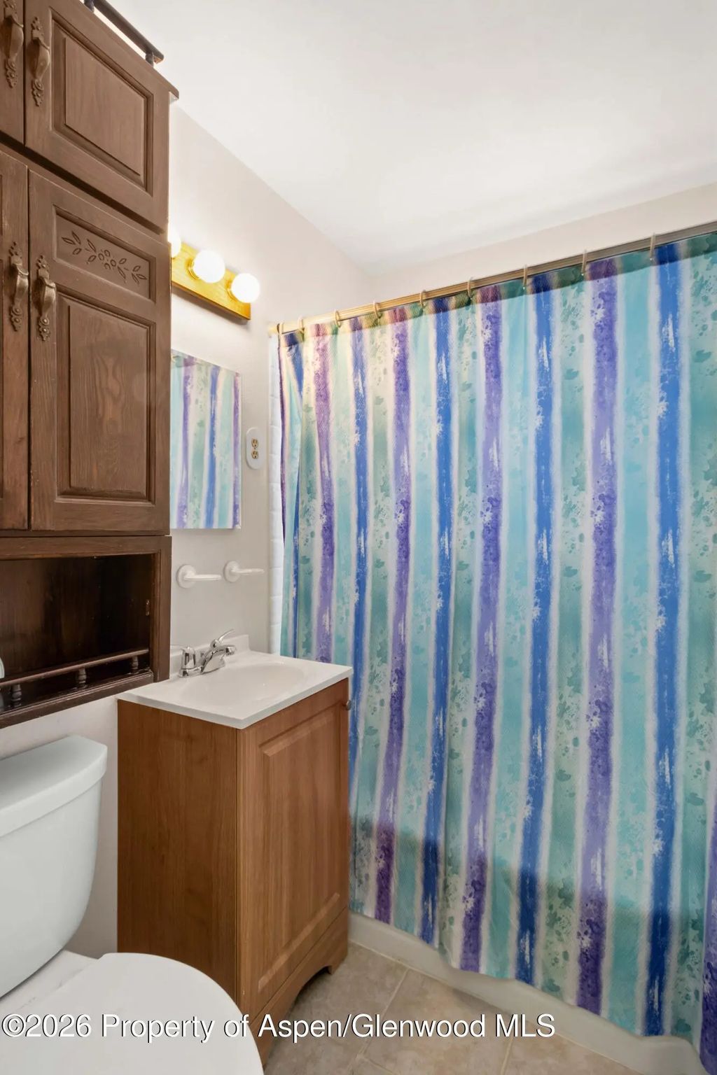 12 of 24 - 3001 Sopris Avenue, Glenwood Springs, CO