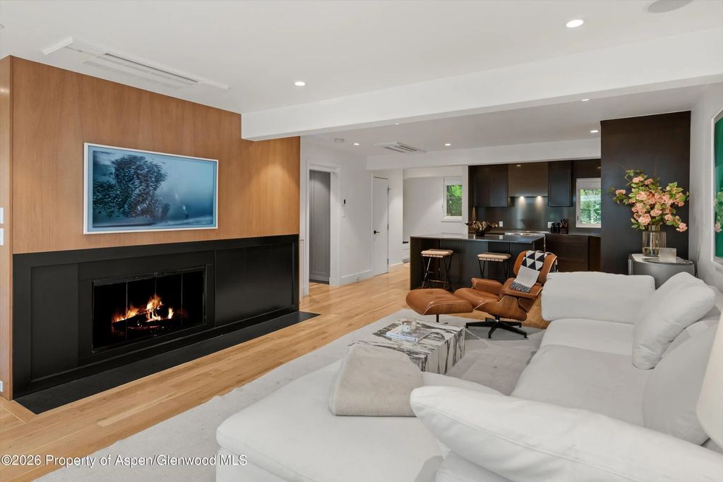 18 of 53 - 100 N Eighth Street 3, Aspen, CO