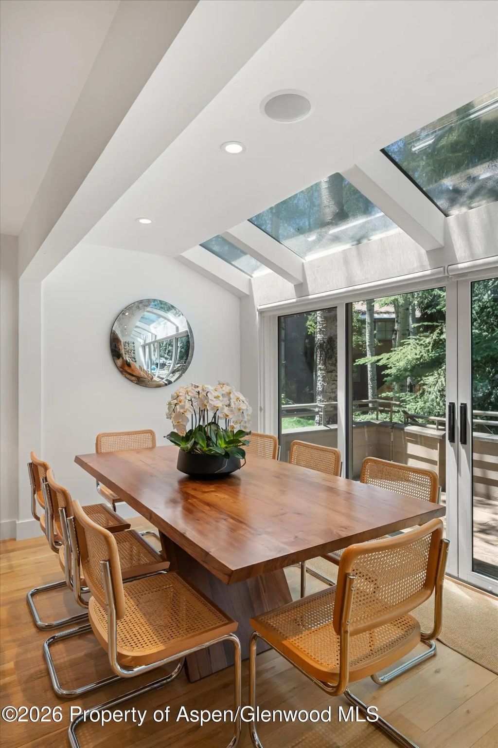 22 of 53 - 100 N Eighth Street 3, Aspen, CO
