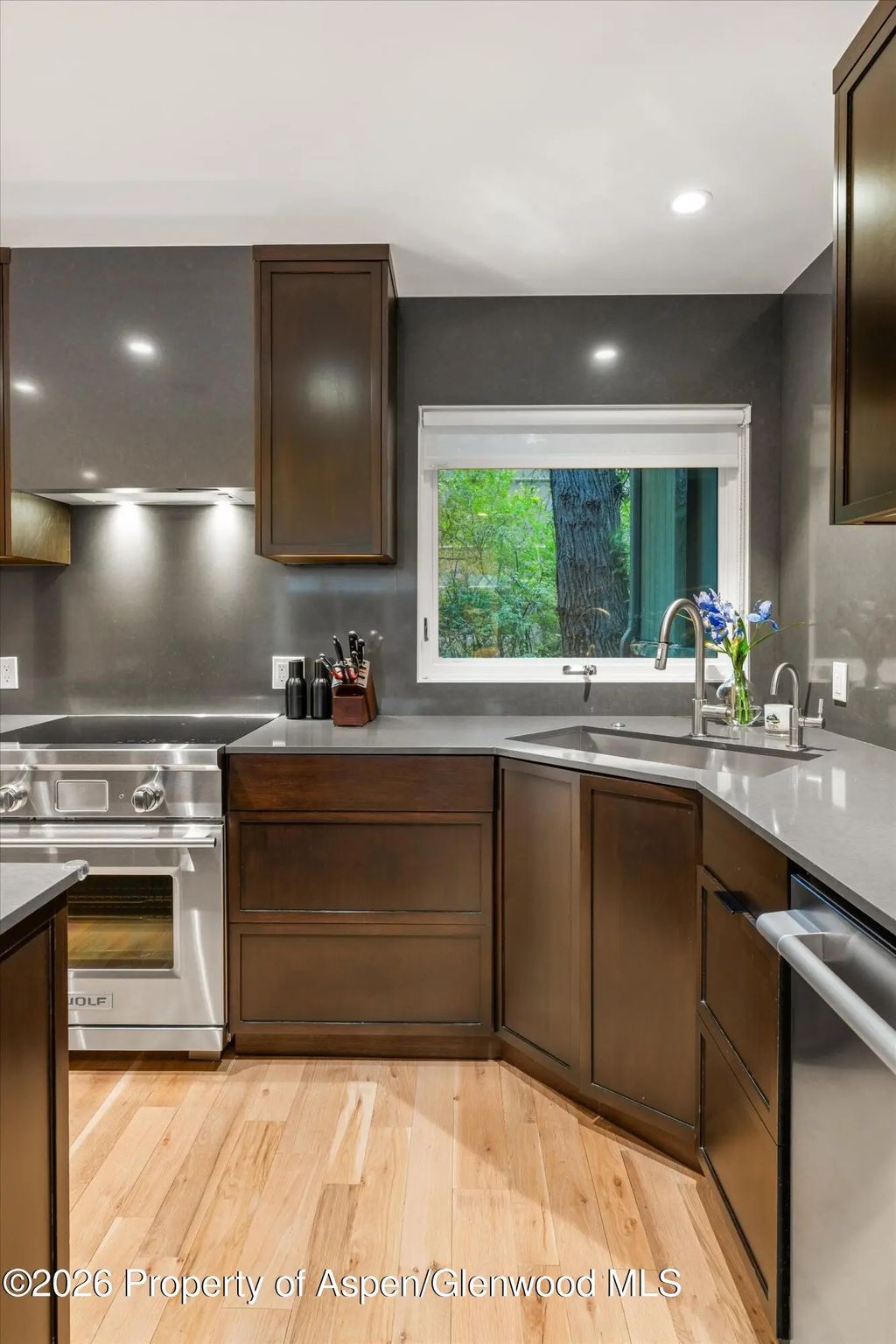 28 of 53 - 100 N Eighth Street 3, Aspen, CO