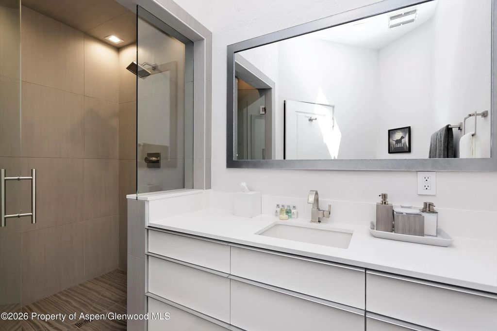 40 of 57 - 736 W Smuggler Street, Aspen, CO