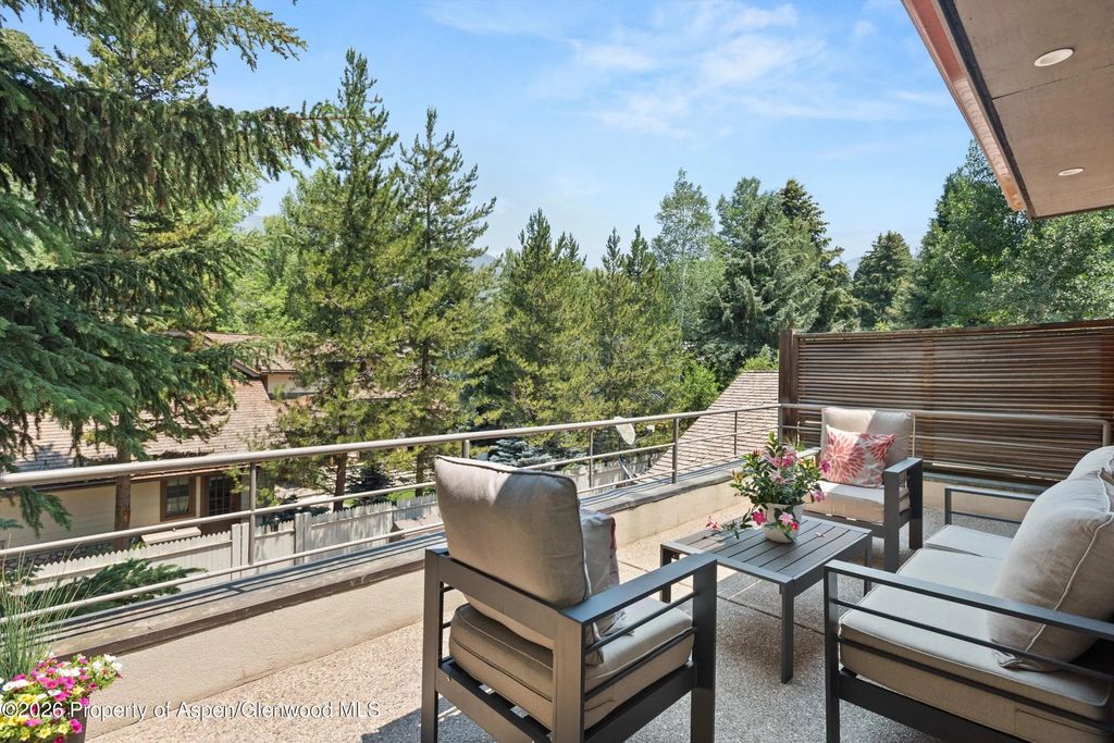 41 of 57 - 736 W Smuggler Street, Aspen, CO