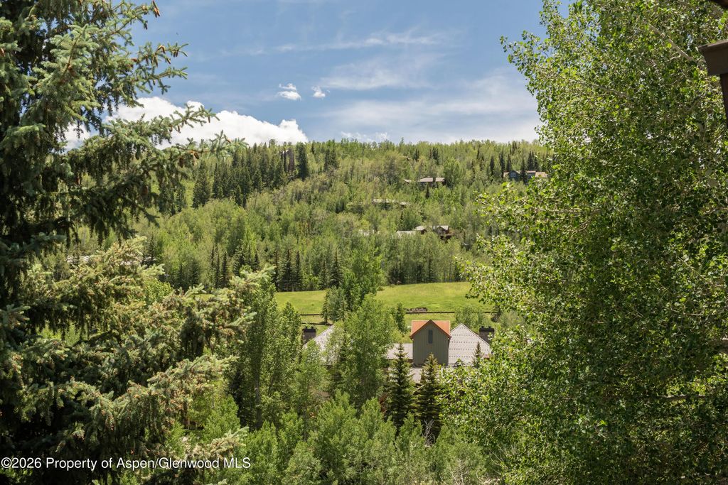 8 of 35 - 35 Upper Woodbridge Road 32ef, Snowmass Village, CO