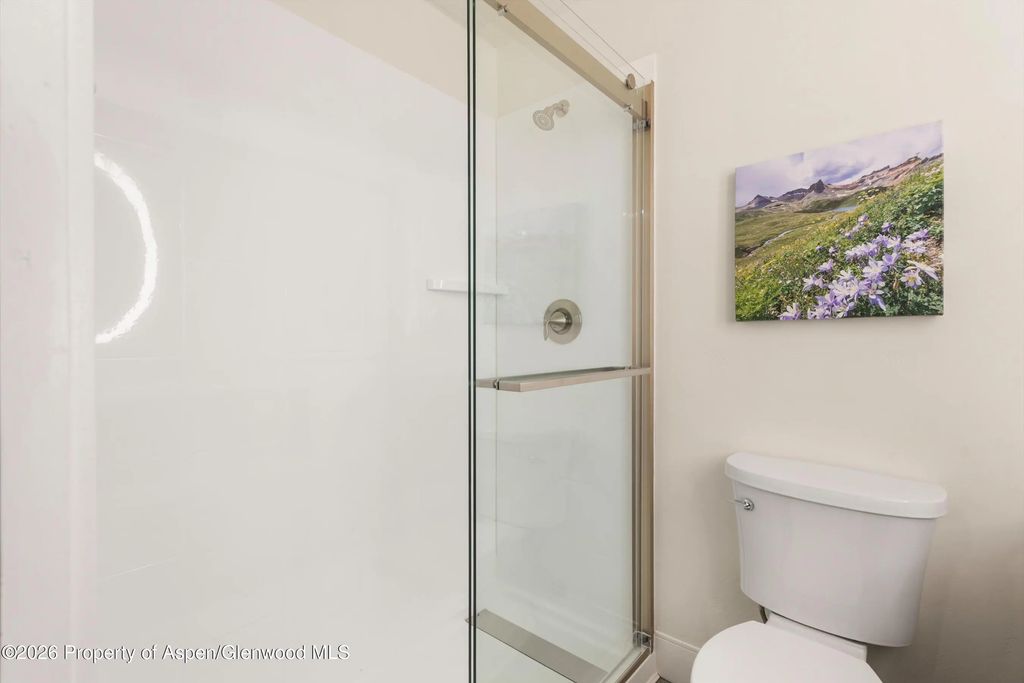 14 of 28 - 38750 Hwy 82 1109, Aspen, CO