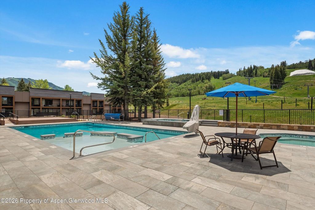 24 of 28 - 38750 Hwy 82 1109, Aspen, CO