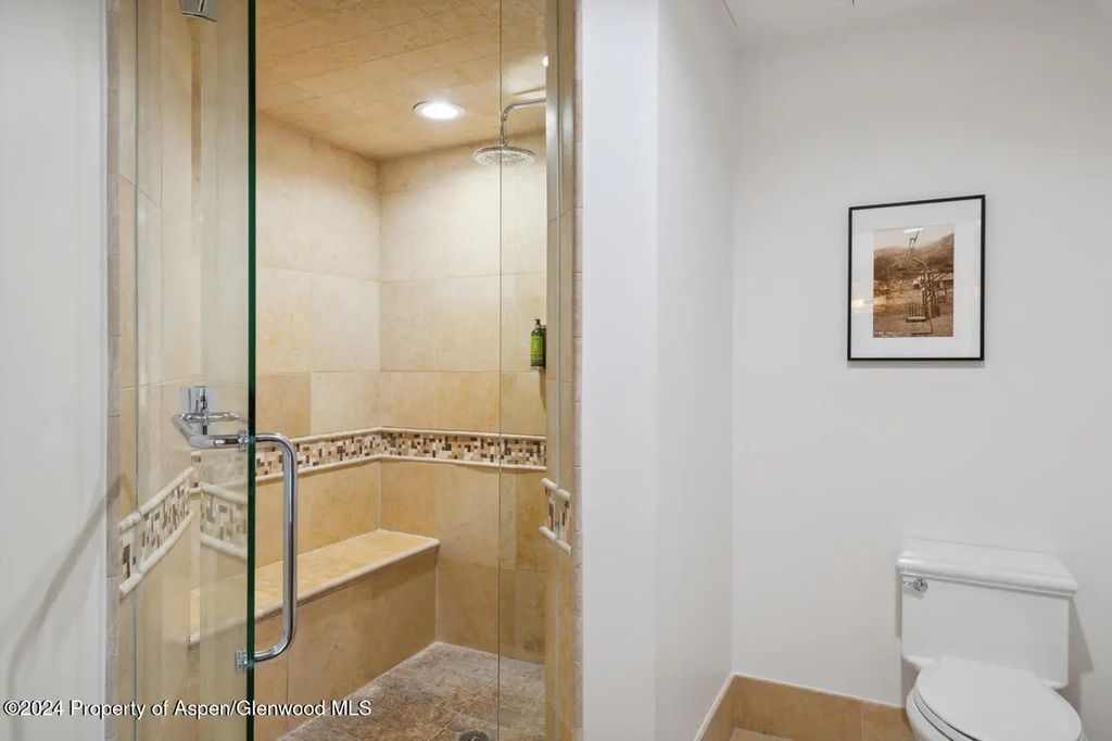 18 of 39 - 415 E Dean St, Unit 45, Week 12, Aspen, CO