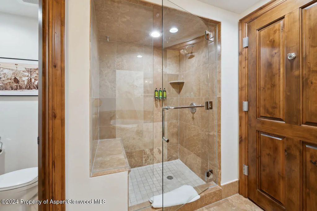 33 of 39 - 415 E Dean St, Unit 45, Week 12, Aspen, CO