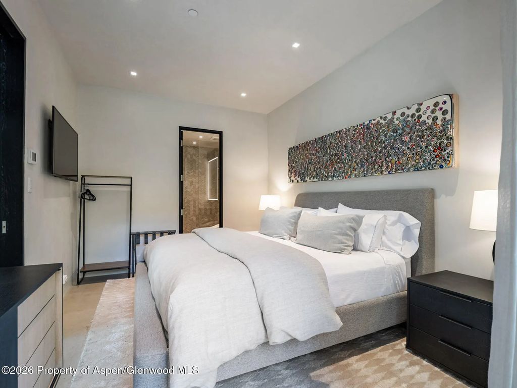 15 of 45 - 1154 E Cooper Avenue Unit B, Aspen, CO
