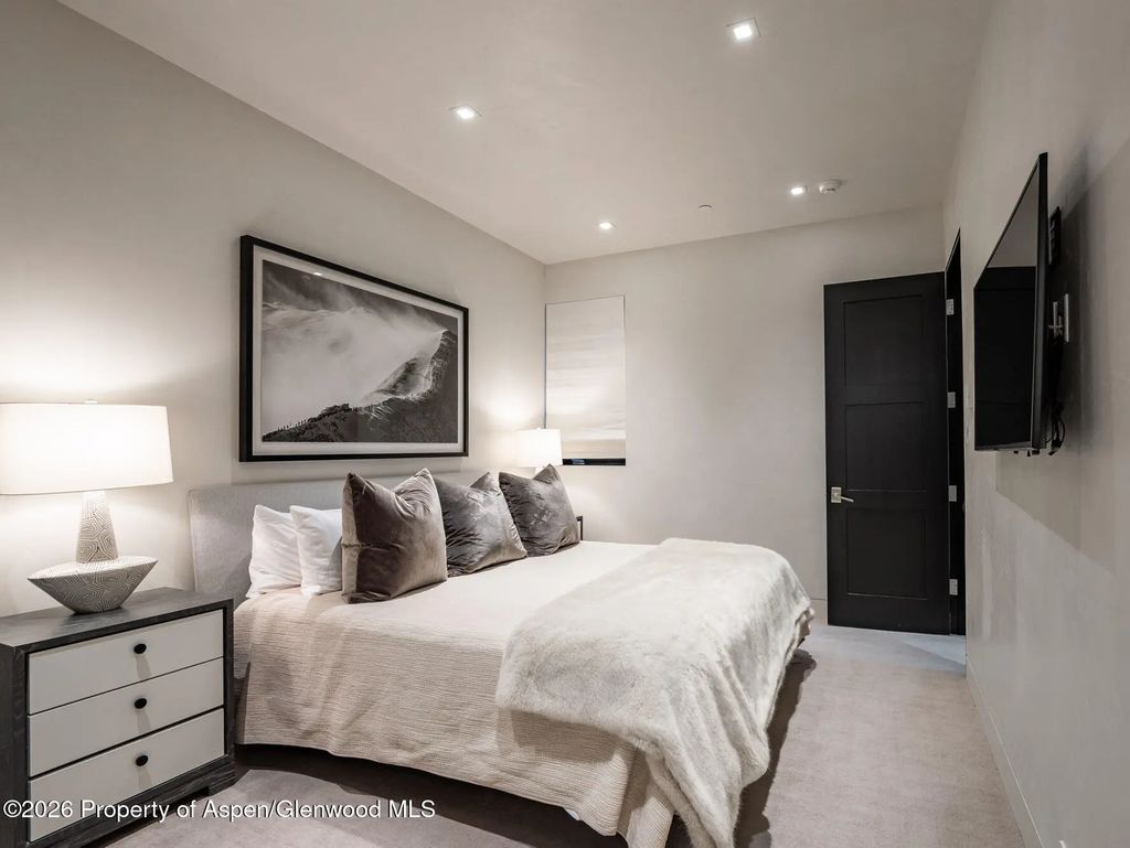 26 of 45 - 1154 E Cooper Avenue Unit B, Aspen, CO