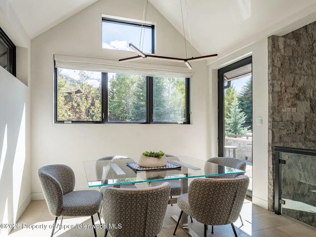 8 of 45 - 1154 E Cooper Avenue Unit B, Aspen, CO