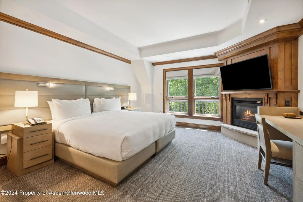 14 of 27 - 415 E Dean St., Unit 37, Week 6, Aspen, CO