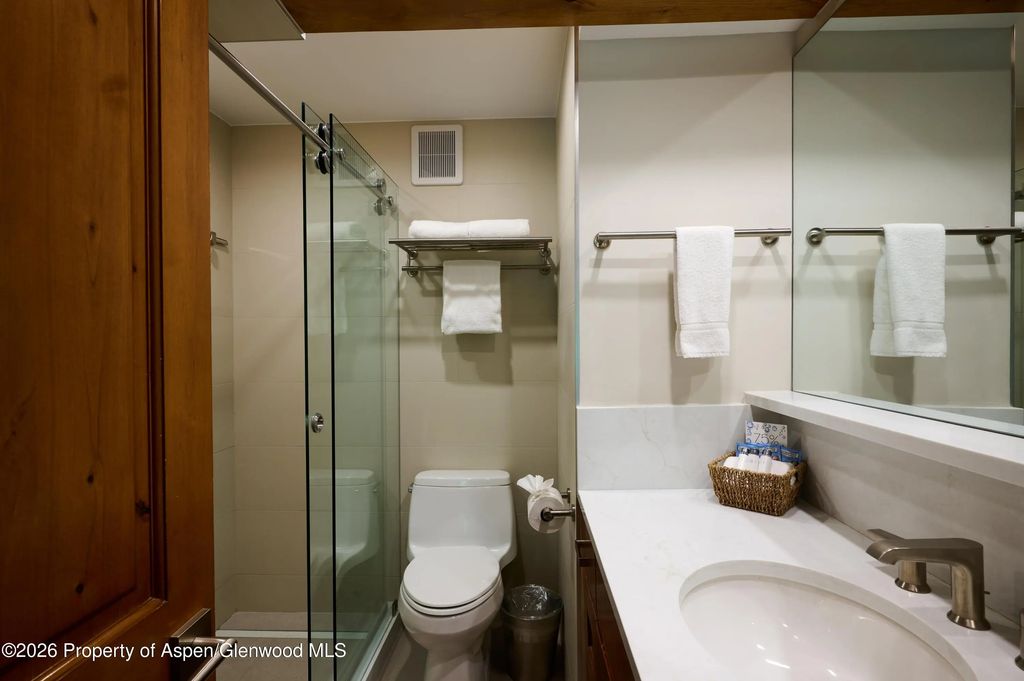 10 of 20 - 131 E Durant Avenue 410, Aspen, CO