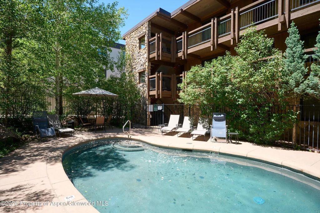 13 of 20 - 131 E Durant Avenue 410, Aspen, CO