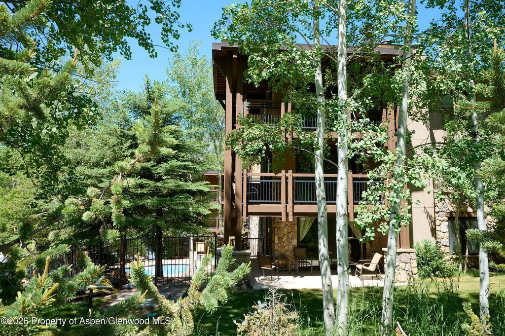 18 of 20 - 131 E Durant Avenue 410, Aspen, CO