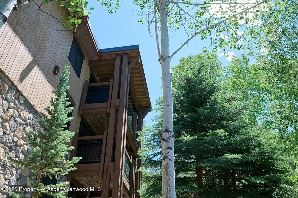 19 of 20 - 131 E Durant Avenue 410, Aspen, CO
