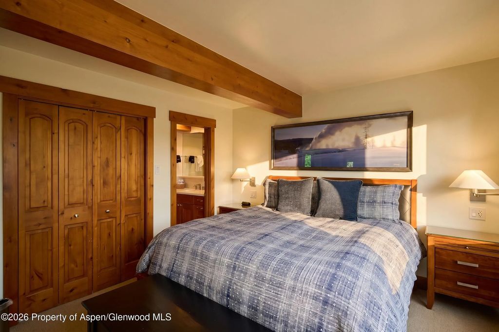 7 of 20 - 131 E Durant Avenue 410, Aspen, CO