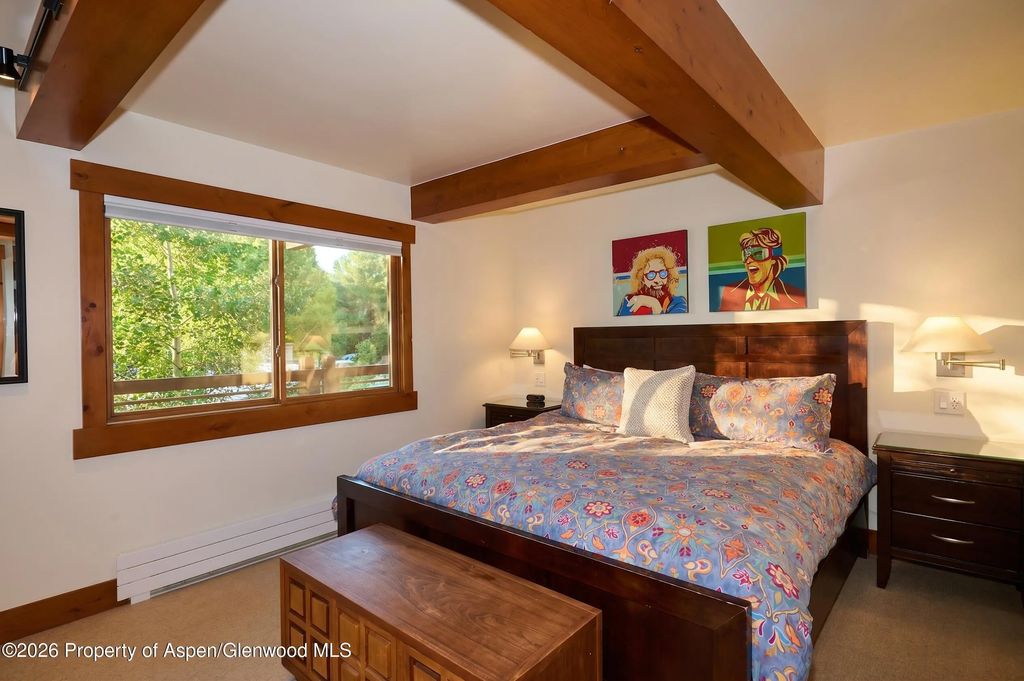 9 of 20 - 131 E Durant Avenue 410, Aspen, CO