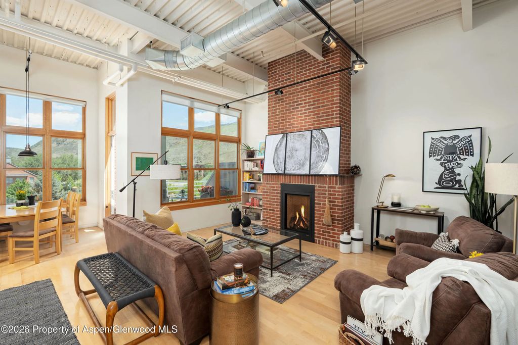 231 Robinson Street 320, Basalt
