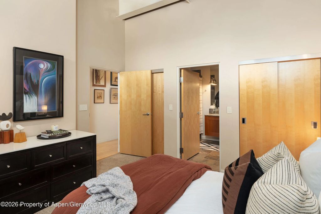 10 of 22 - 231 Robinson Street 320, Basalt, CO