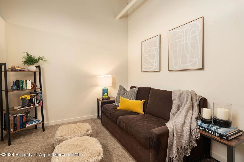 13 of 22 - 231 Robinson Street 320, Basalt, CO