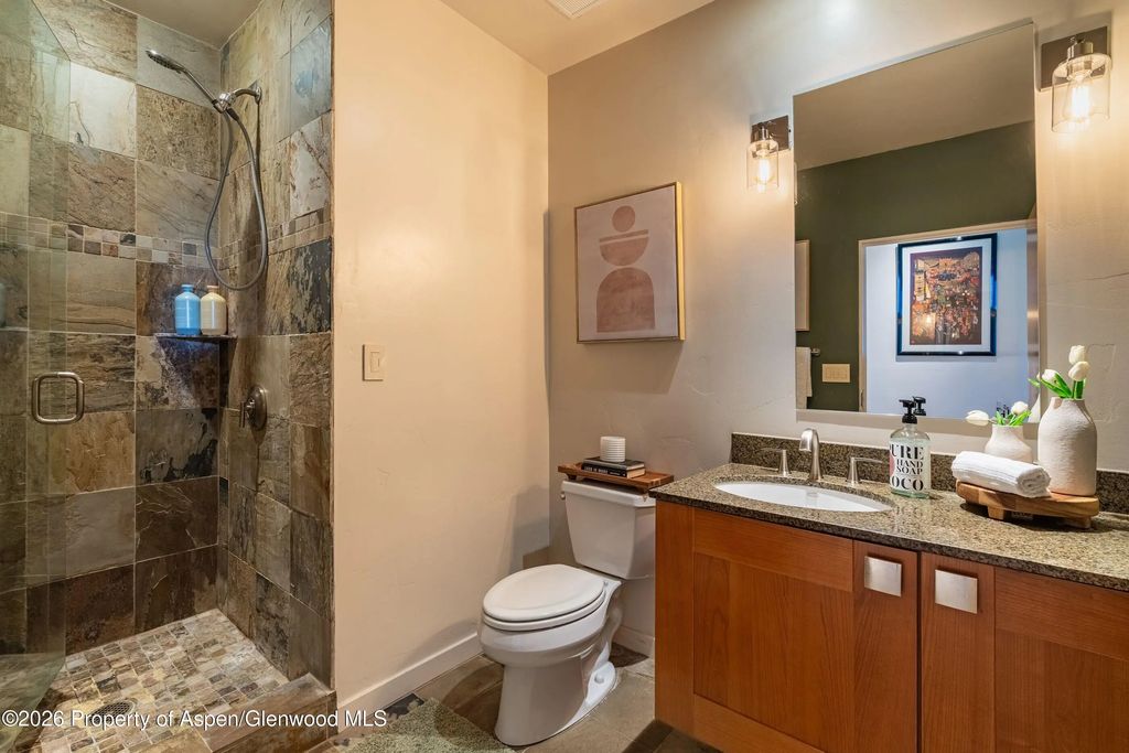 14 of 22 - 231 Robinson Street 320, Basalt, CO