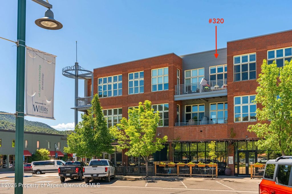 20 of 22 - 231 Robinson Street 320, Basalt, CO