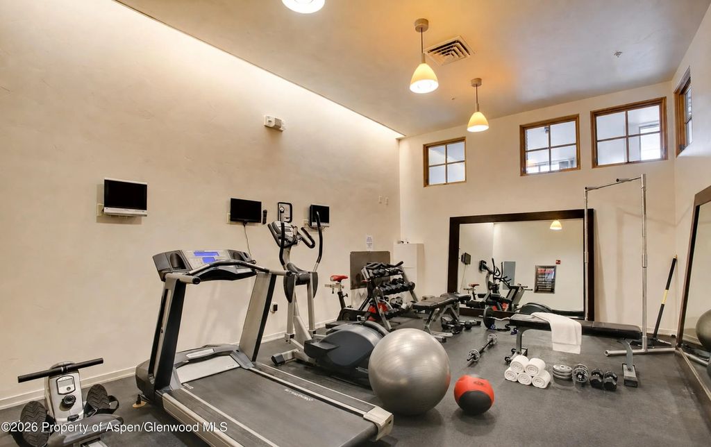 21 of 22 - 231 Robinson Street 320, Basalt, CO