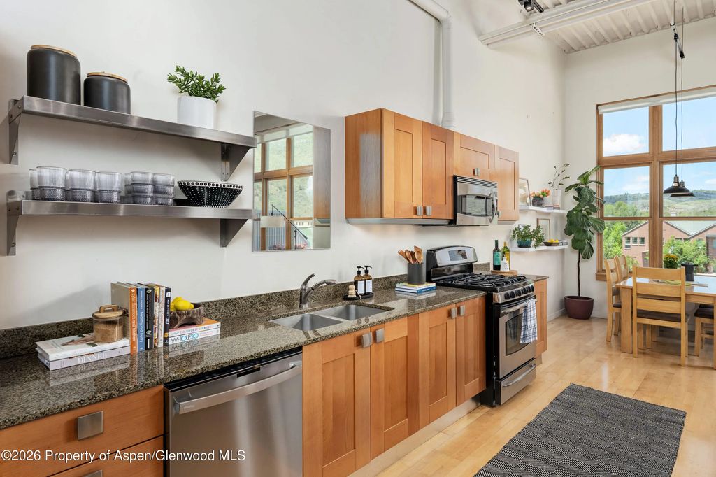 6 of 22 - 231 Robinson Street 320, Basalt, CO