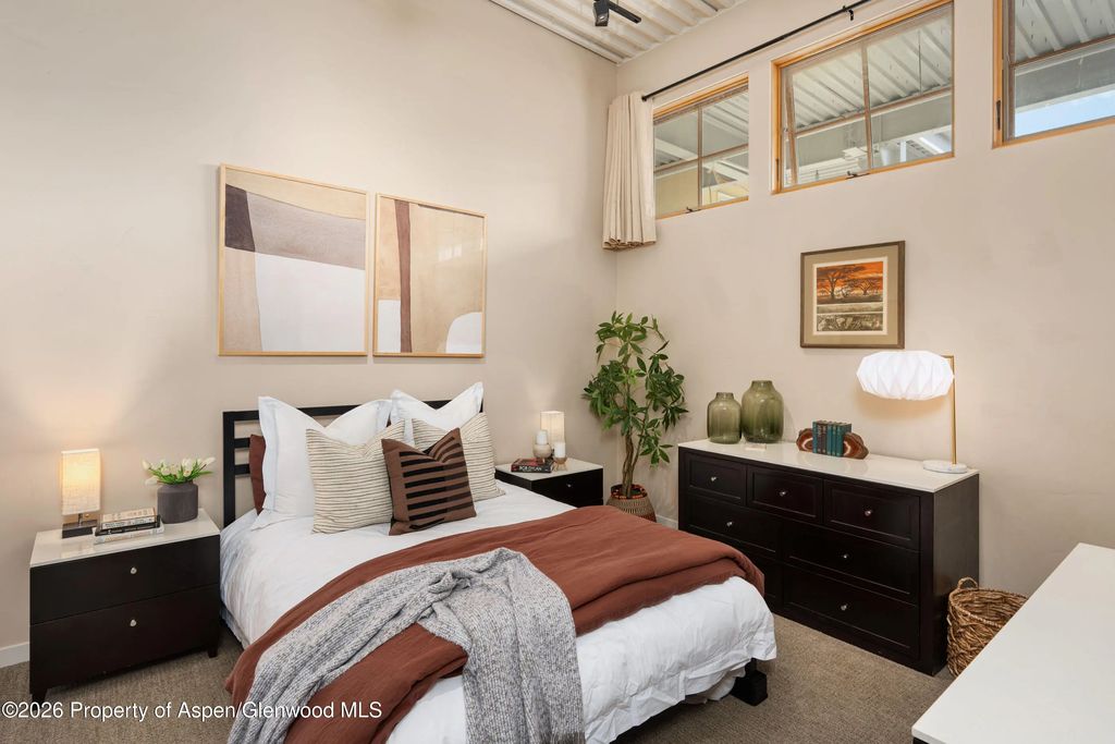 9 of 22 - 231 Robinson Street 320, Basalt, CO