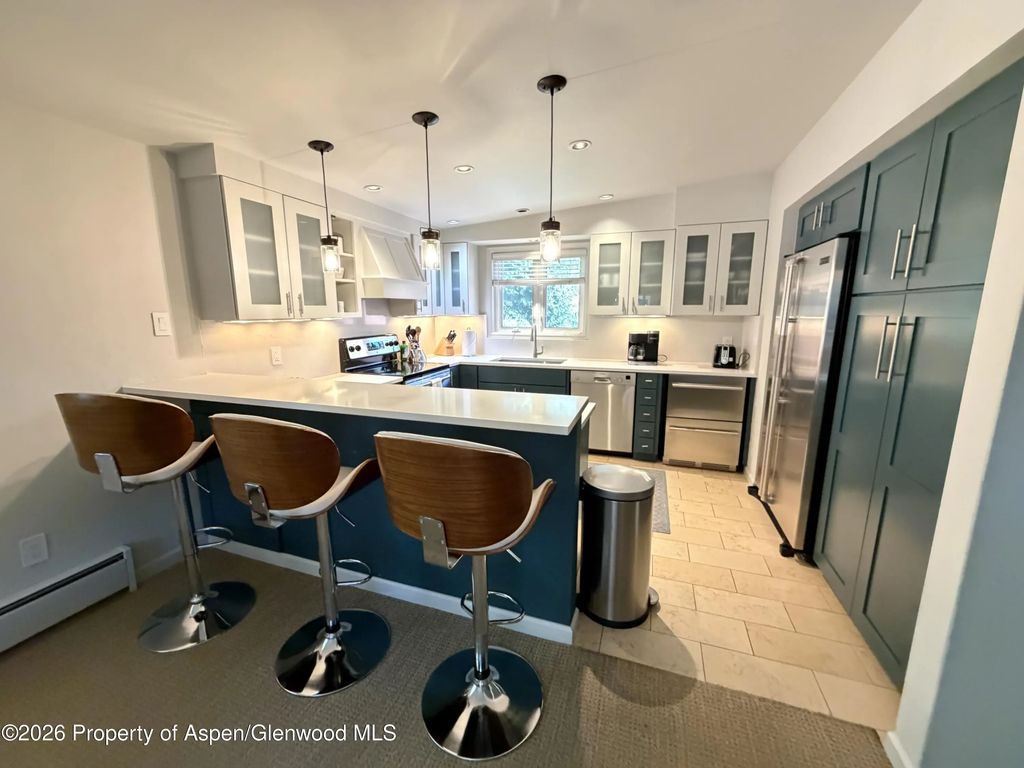 805 E Cooper Avenue 12, Aspen
