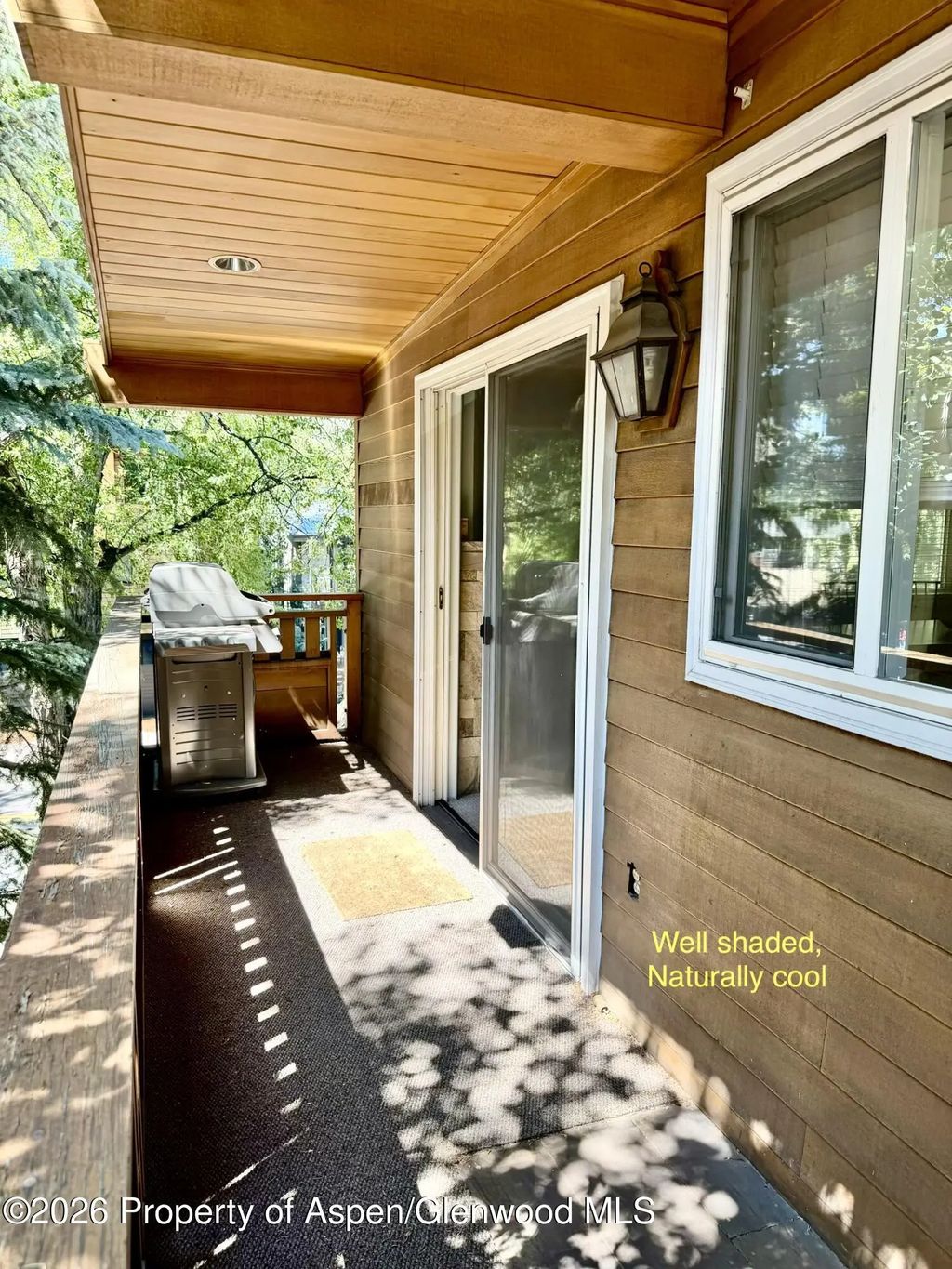 12 of 14 - 805 E Cooper Avenue 12, Aspen, CO