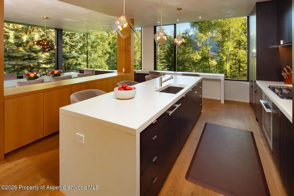 10 of 30 - 979 Red Mountain Road, Aspen, CO